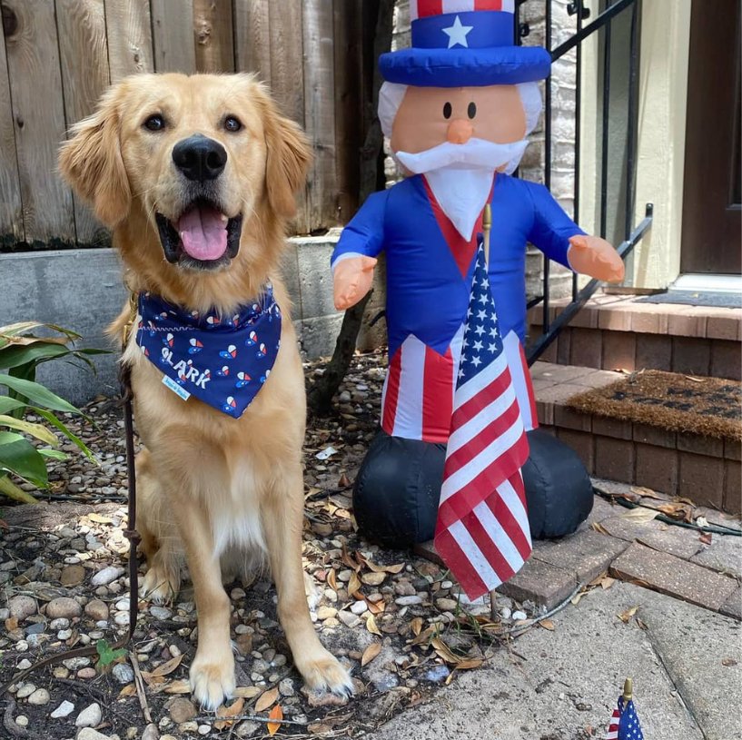 How to Refresh Your Dog's Wardrobe - Briggs 'n' Wiggles
