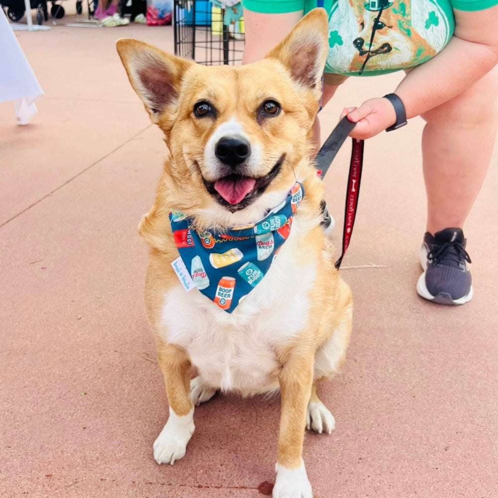 Dog Beer Reversible Dog Bandana - Briggs 'n' Wiggles