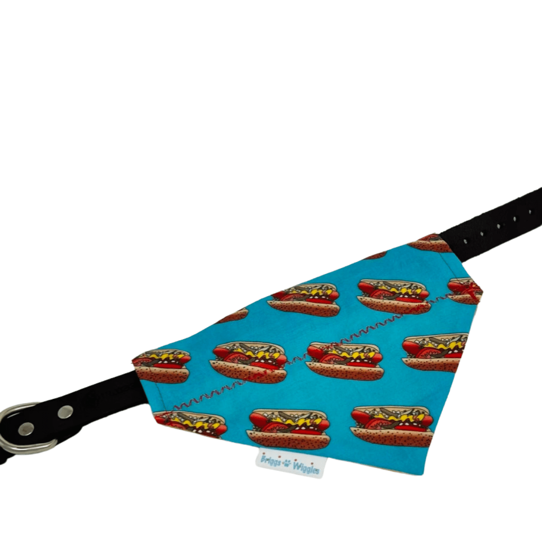 Hot Diggity Dog Reversible Dog Bandana - Briggs 'n' Wiggles