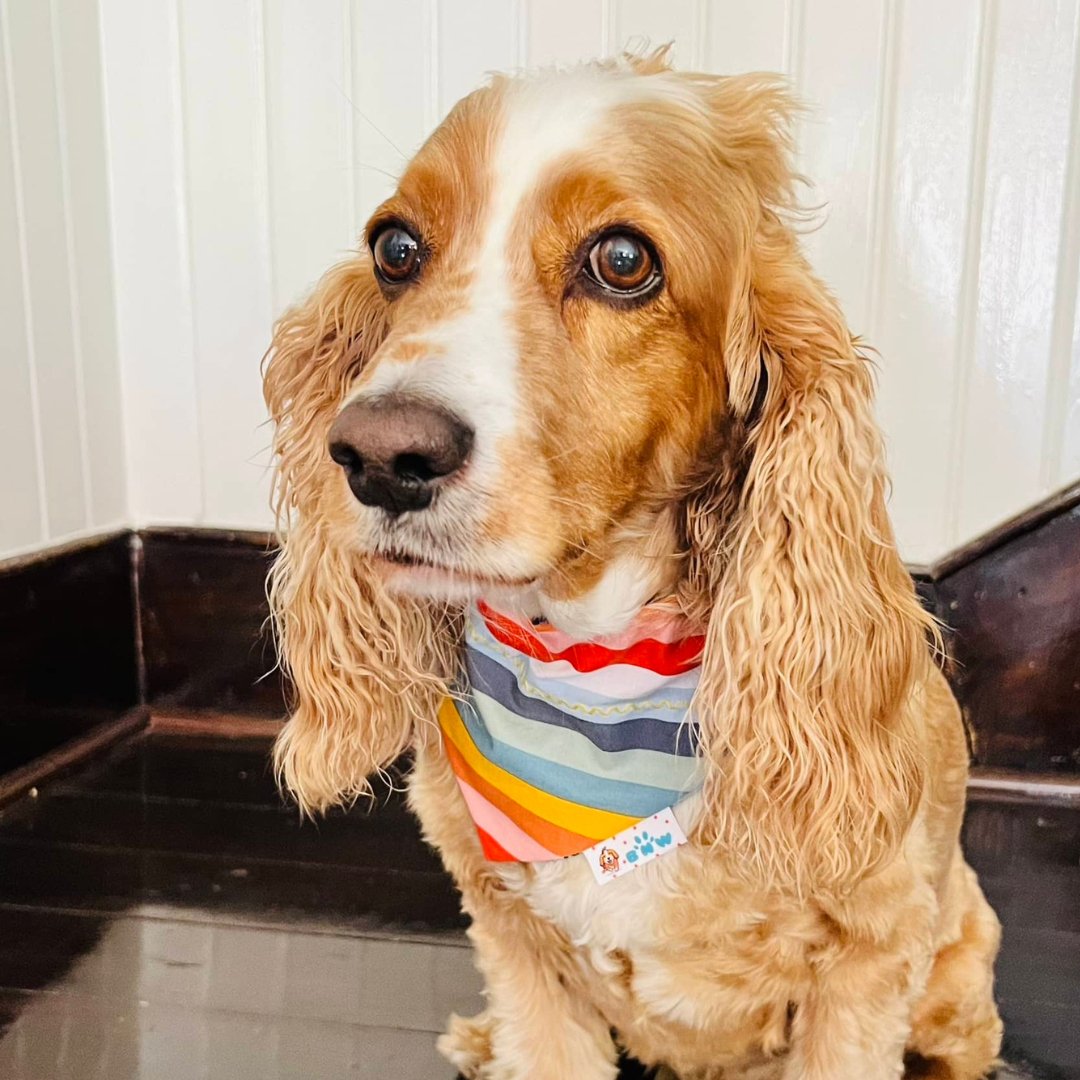 Spring Tulips Dog Bandana - Briggs 'n' Wiggles
