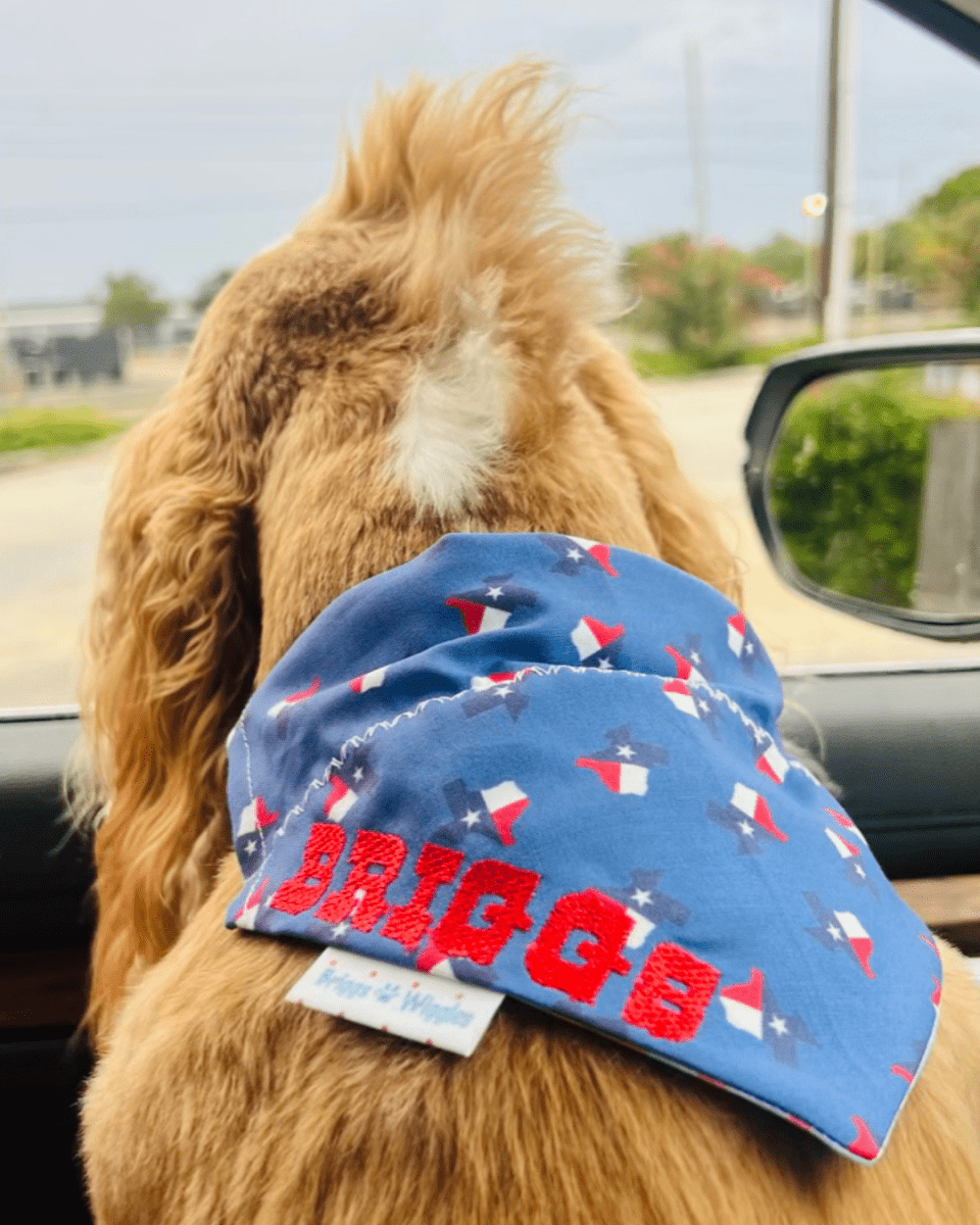 TEXAS STRONG Dog Bandana - 100% of Proceeds from this Print Donated to Kerr County Flood Relief - Briggs 'n' Wiggles