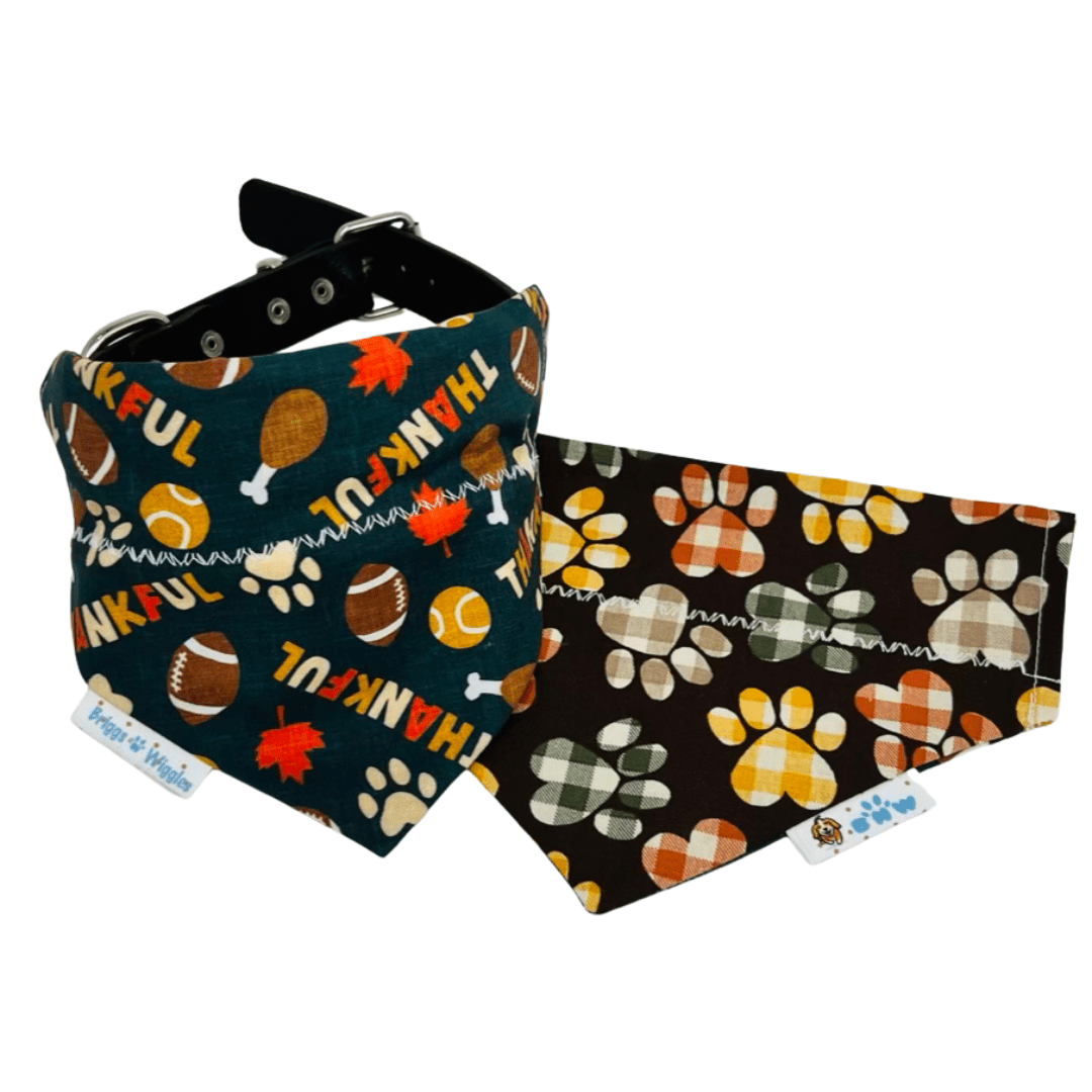 Thankful Touchdown – Thanksgiving Football Reversible Dog Bandana - Briggs 'n' Wiggles