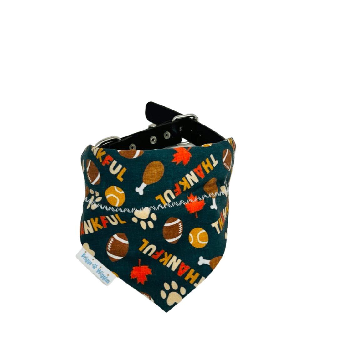 Thankful Touchdown – Thanksgiving Football Reversible Dog Bandana - Briggs 'n' Wiggles