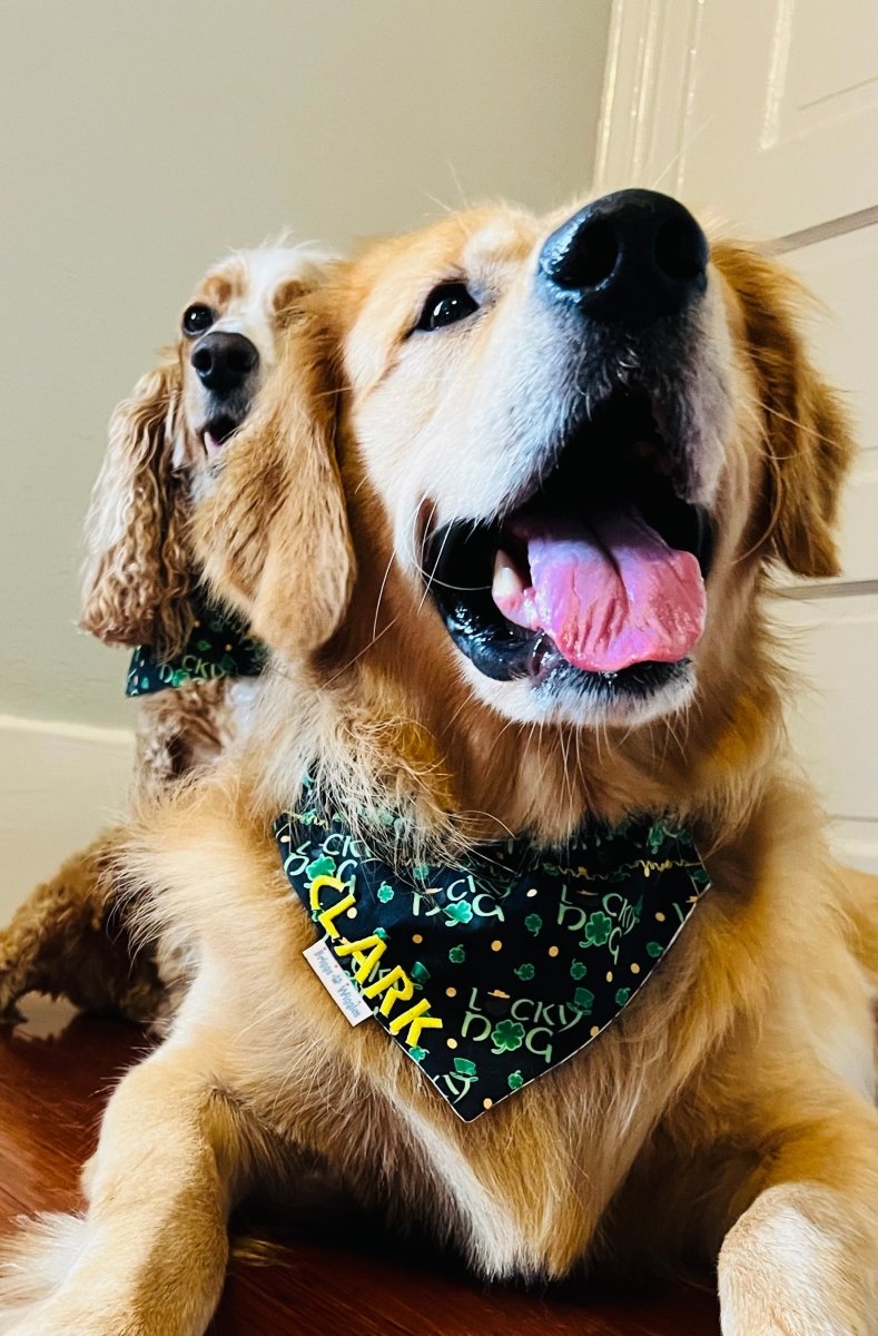 The Wiggles Club Membership - Briggs 'n' Wiggles