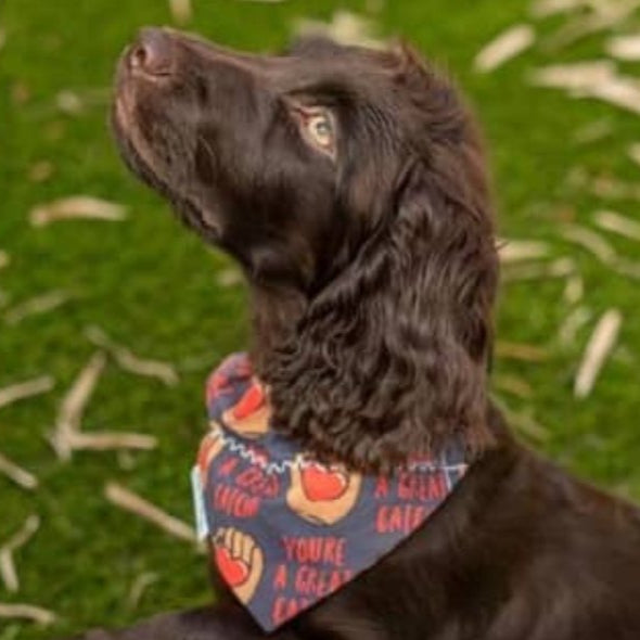 Dog wearing You're a Great Catch Dog Bandana with a baseball and heart design, perfect for Valentine's Day, baseball season or everyday style.