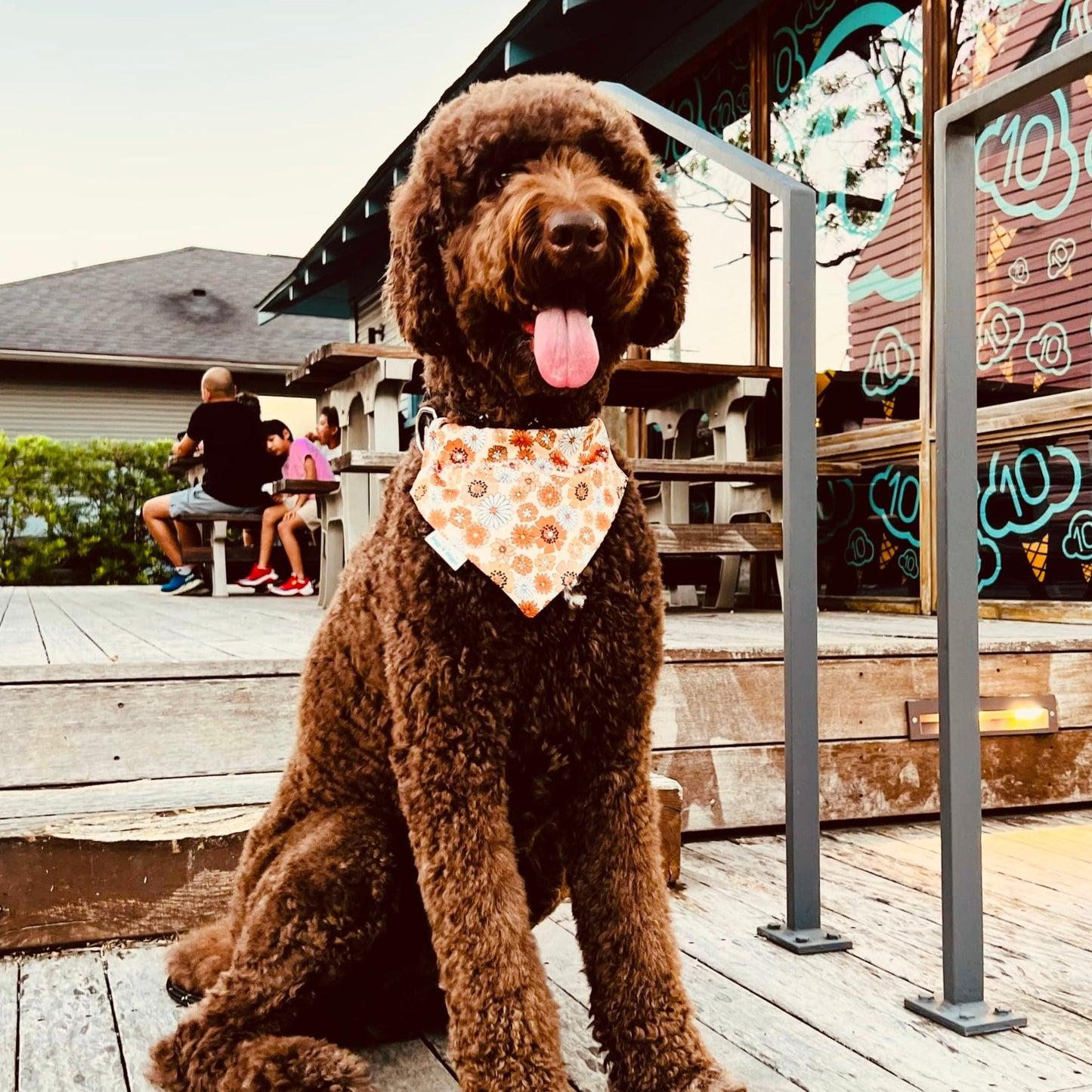 This bandana is made out of cotton fabric that has a variety of fall flowers floating all over on a matte peach background.  The reverse side has a complimentary plaid.