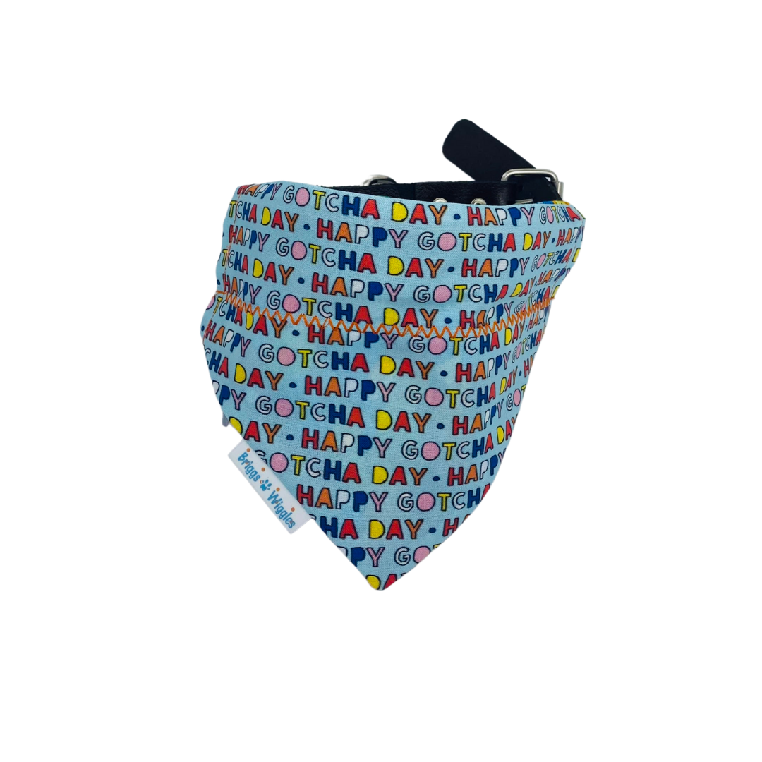 Gotcha Day Dog bandana displayed on a collar, highlighting its cheerful design and perfect fit for celebrating adoption anniversaries.