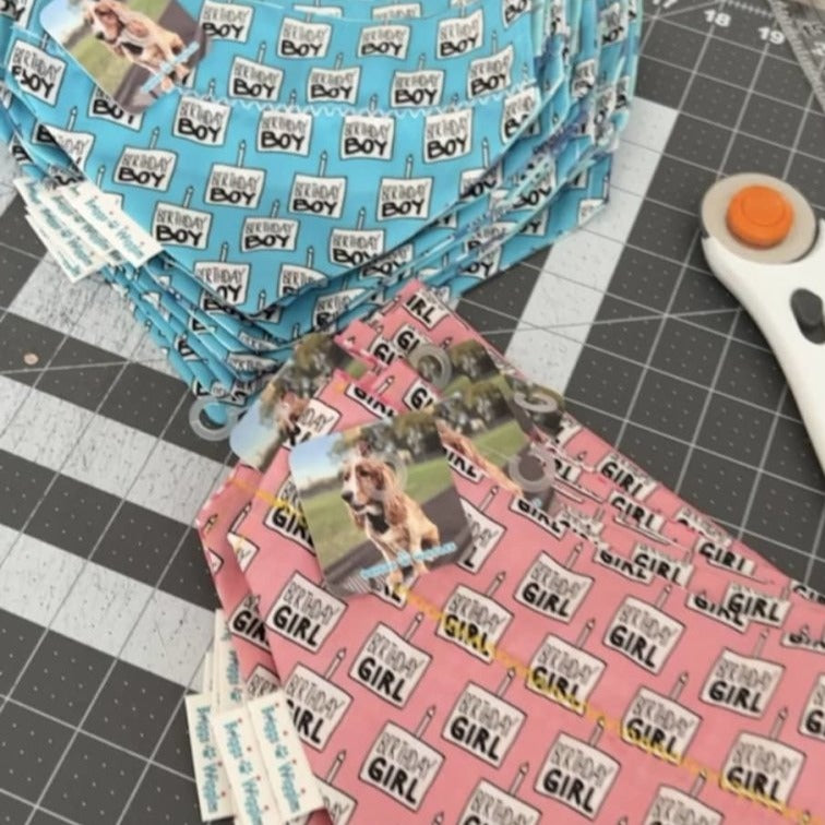 Birthday Girl or Birthday Boy Dog Bandana - Briggs 'n' Wiggles