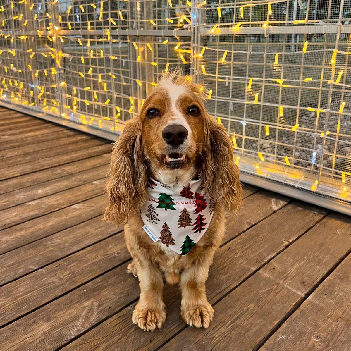 Buffalo Plaid and Leopard Christmas Tree Dog Bandana - Briggs 'n' Wiggles