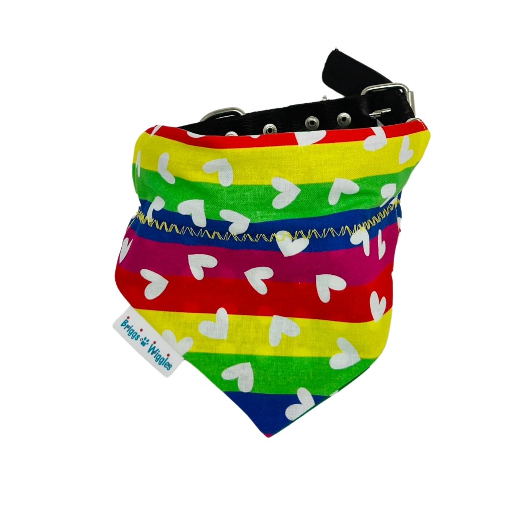 Celebrate Pride Dog Bandana - Briggs 'n' Wiggles