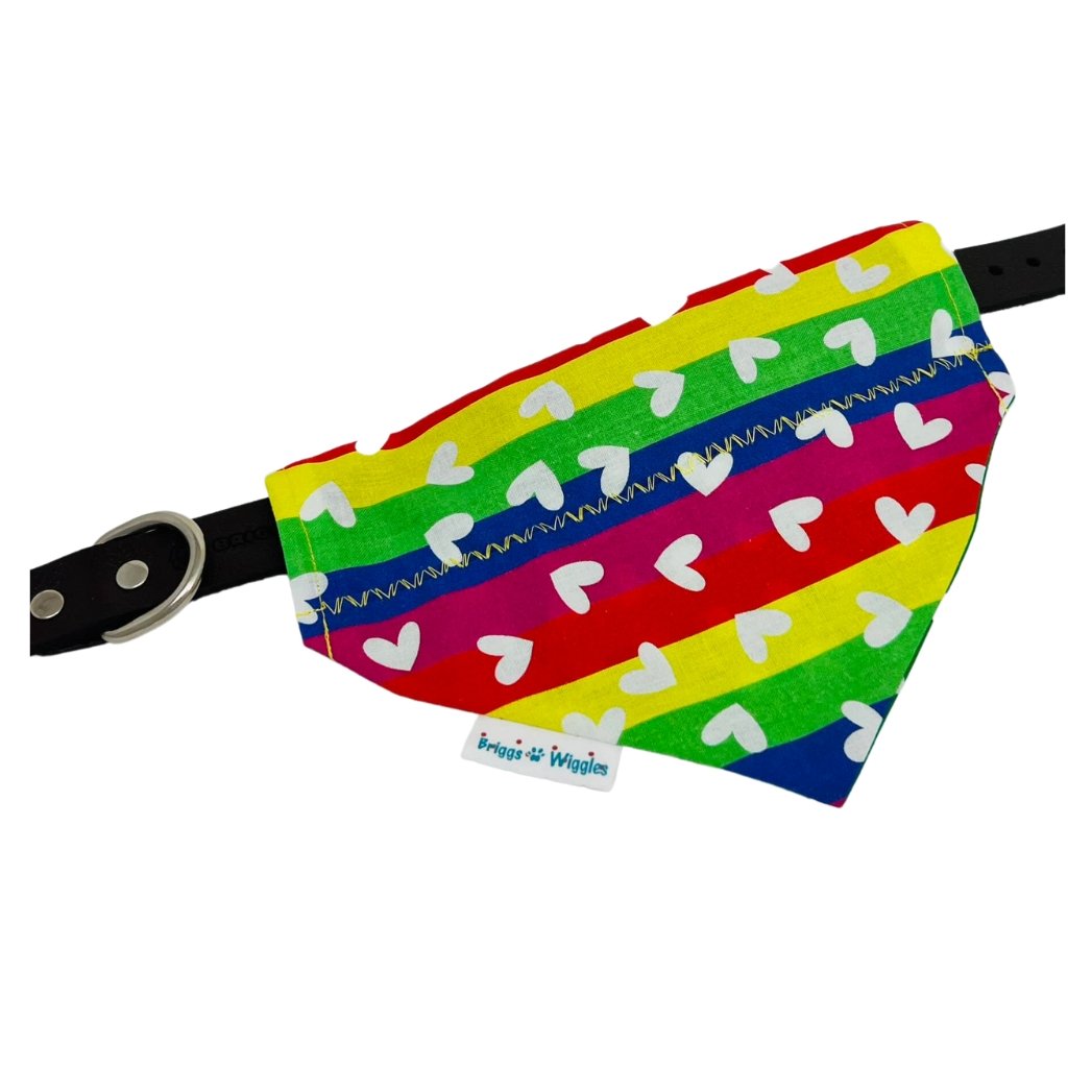 Celebrate Pride Dog Bandana - Briggs 'n' Wiggles