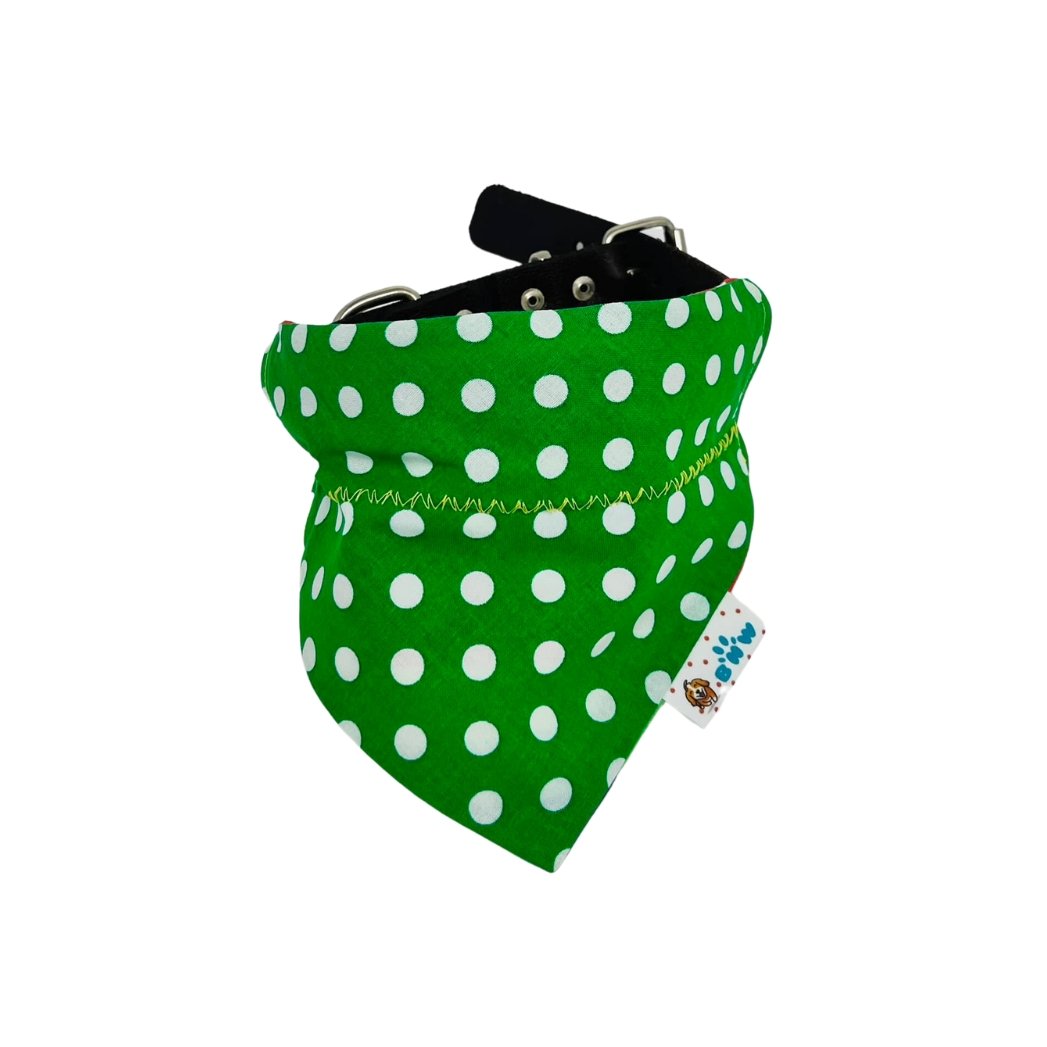 Celebrate Pride Dog Bandana - Briggs 'n' Wiggles