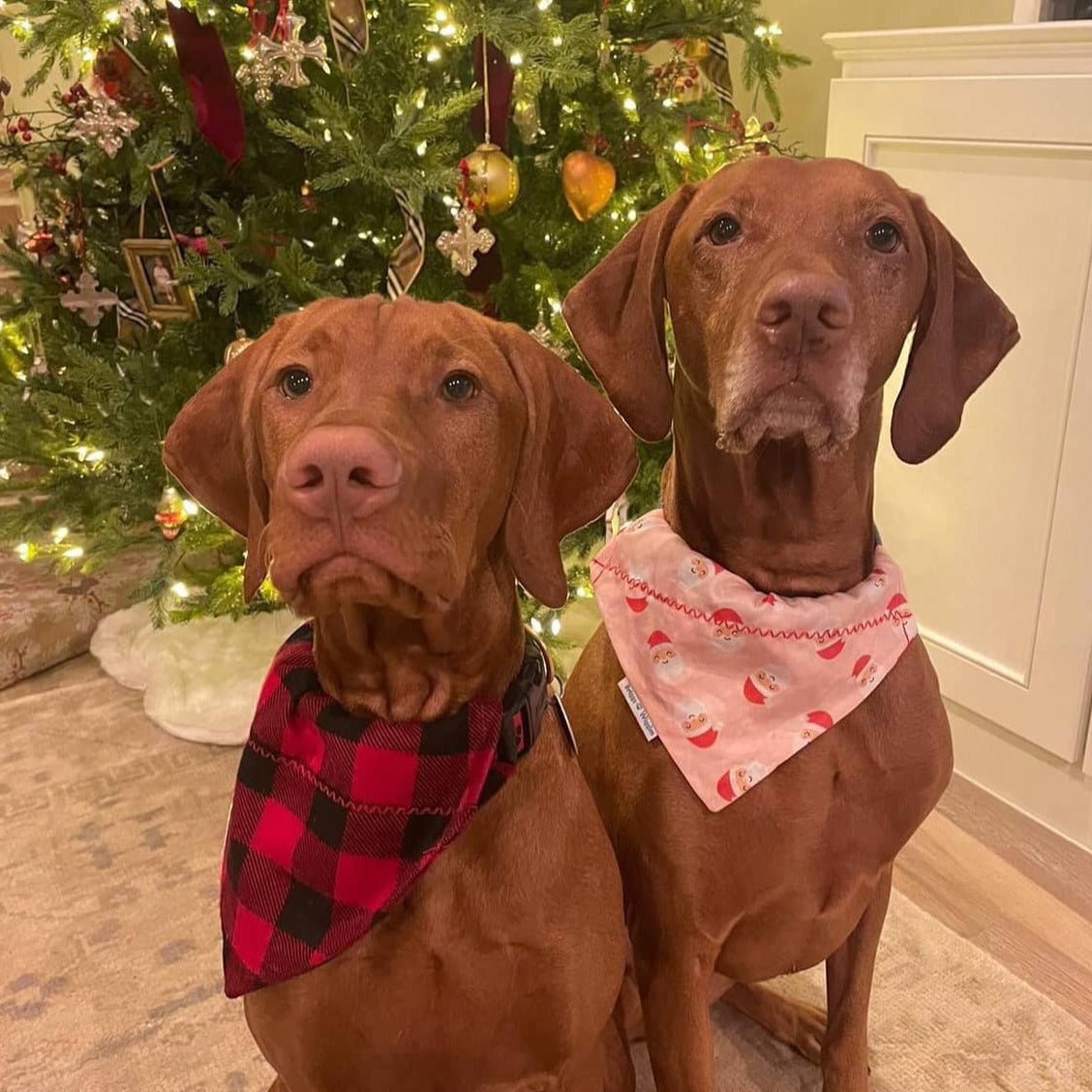 Christmas Red and Black Buffalo Plaid Flannel Dog Bandana - Briggs 'n' Wiggles
