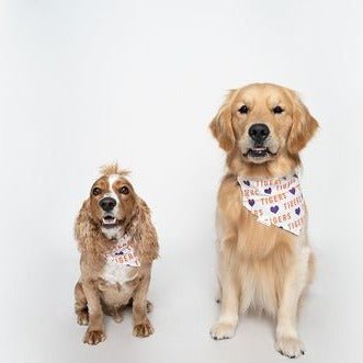 Clemson Tigers Over the Collar Dog Bandana - Briggs 'n' Wiggles