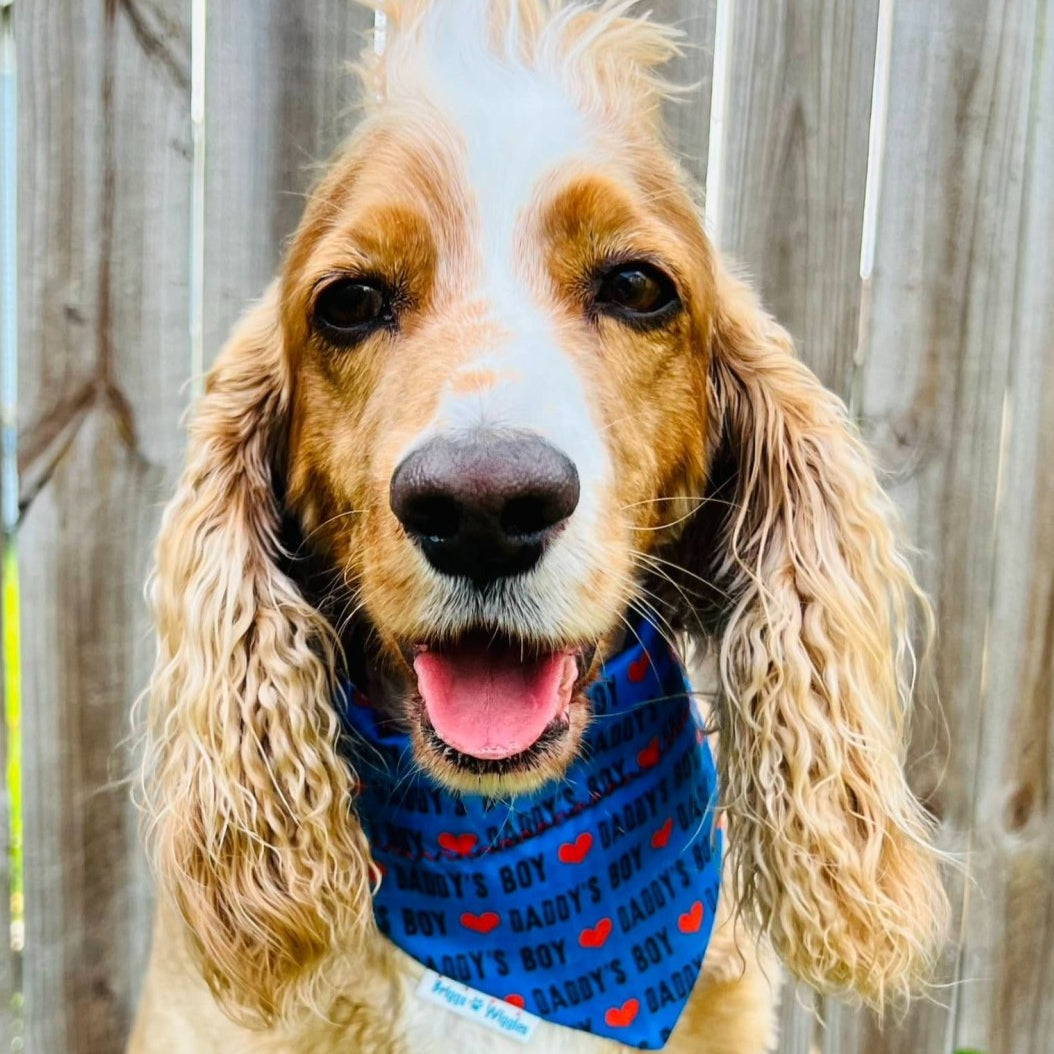 Dog wearing the blue Daddy's Boy reversible bandana with bold lettering, red hearts and sleek blue design, ideal for trendy pet accessories.