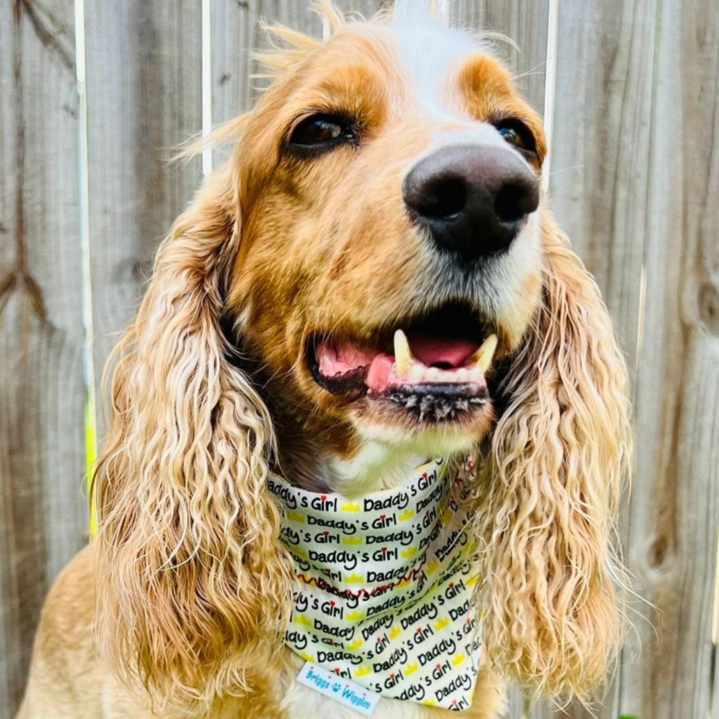 Dog wearing Daddy's Girl bandana with white background, yellow and black text, and a red heart accent, perfect for stylish et accessories.