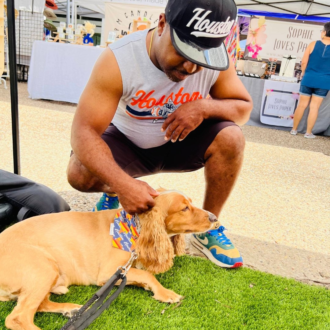 Deep in the Heart of Texas Astros Over the Collar Baseball Dog Bandana - Briggs 'n' Wiggles