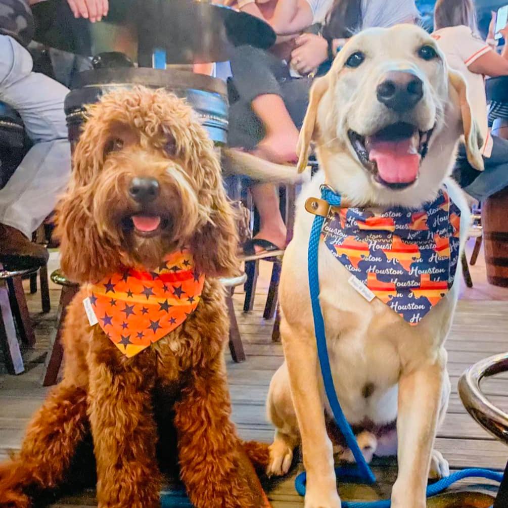 Deep in the Heart of Texas Over the Collar Baseball Dog Bandana - Briggs 'n' Wiggles