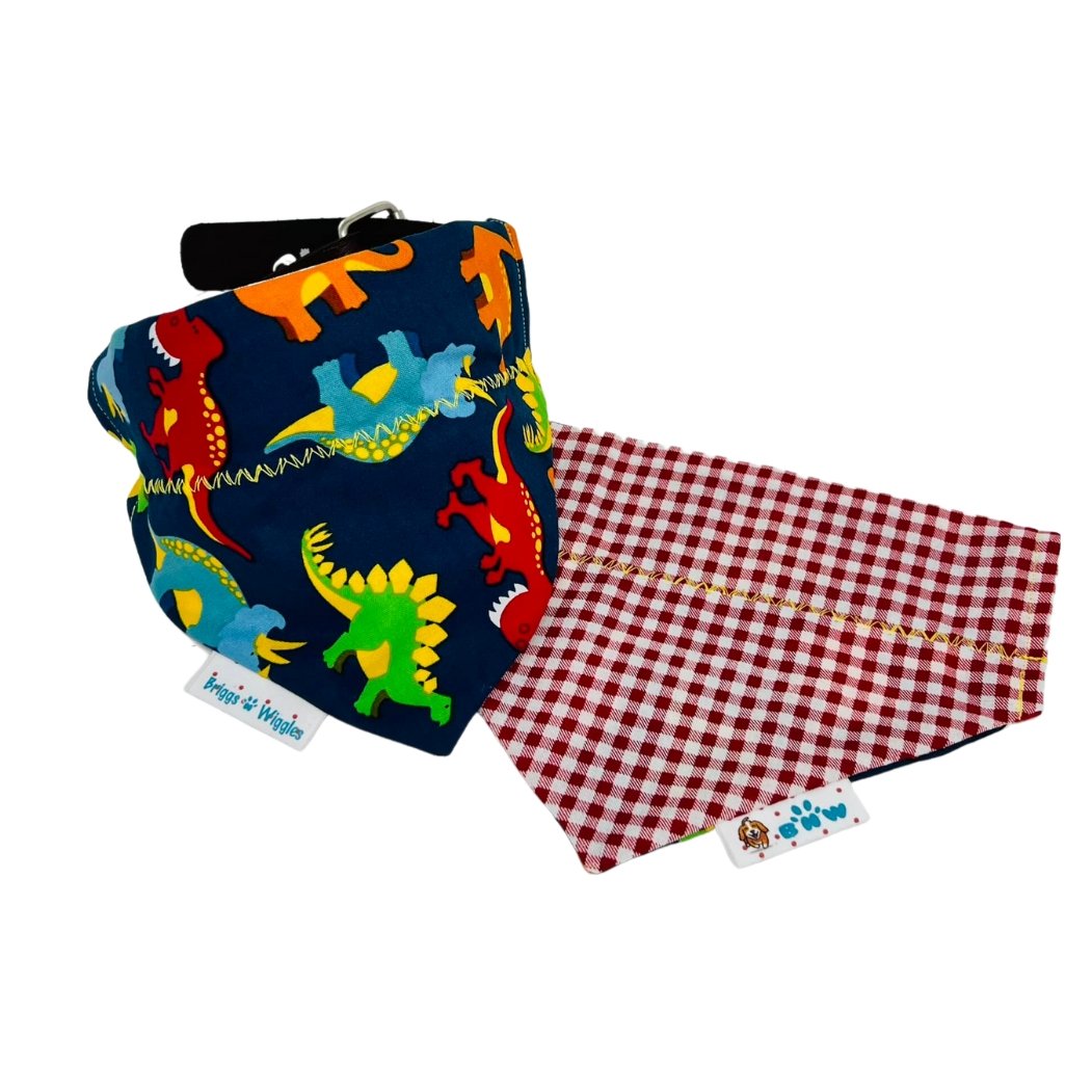 Dinosaur Party and Gingham Dog Bandana - Briggs 'n' Wiggles