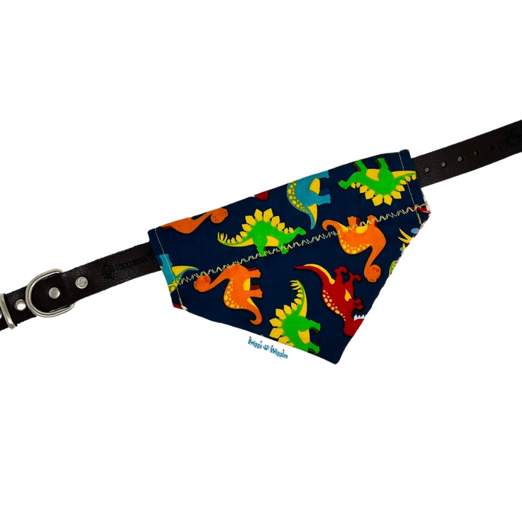 Dinosaur Party and Gingham Dog Bandana - Briggs 'n' Wiggles