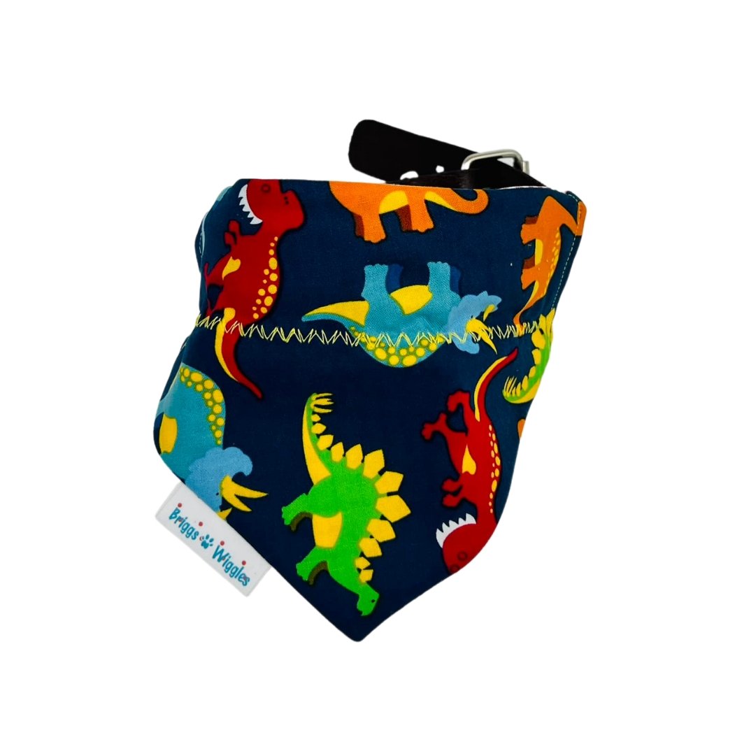 Dinosaur Party and Gingham Dog Bandana - Briggs 'n' Wiggles