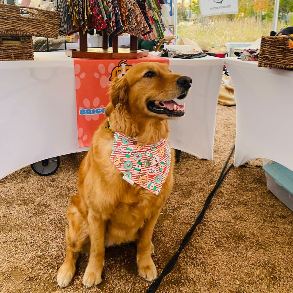 Donuts & Christmas Cheer Dog Bandana - Briggs 'n' Wiggles