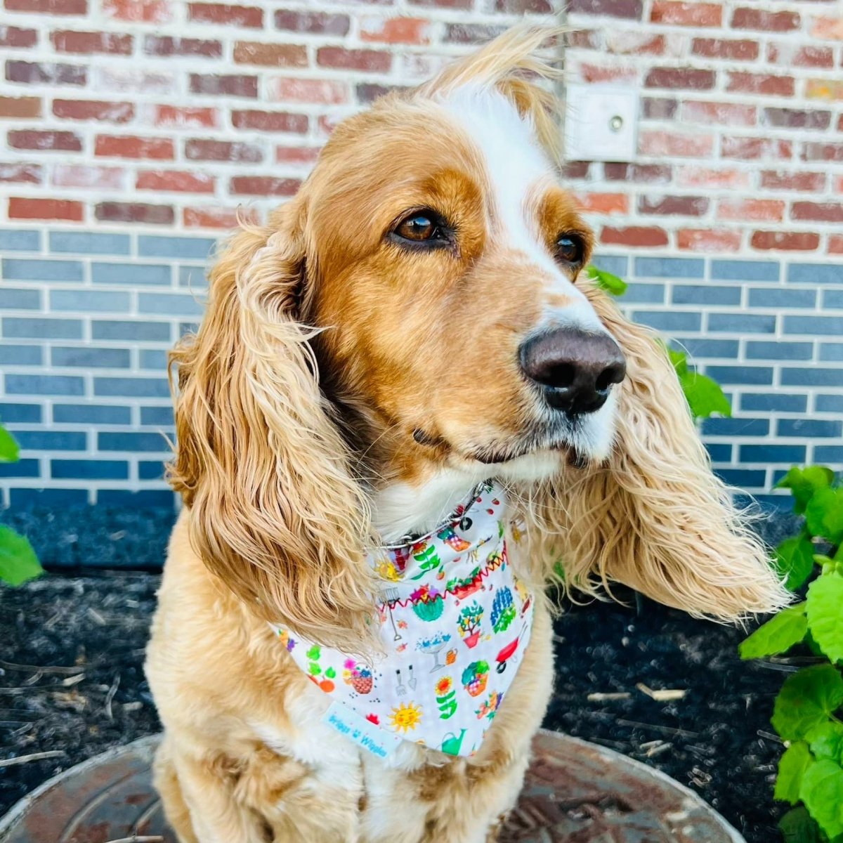 Everything Spring Dog Bandana - Briggs 'n' Wiggles