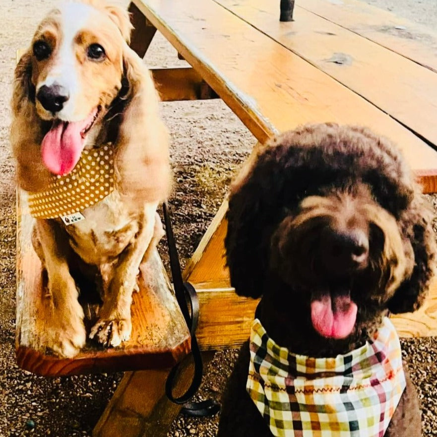 Fall Plaid Over the Collar Dog Bandana - Briggs 'n' Wiggles