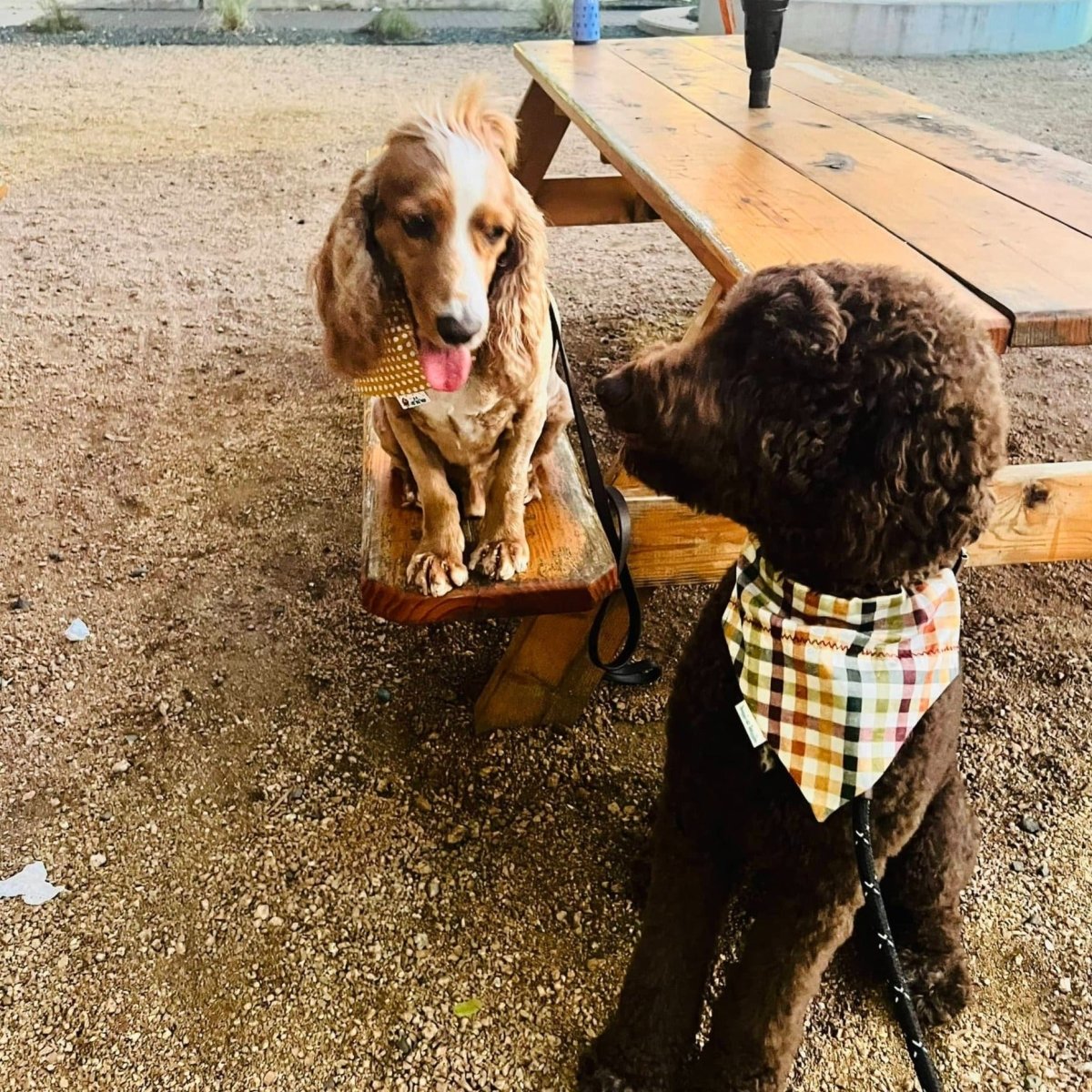 Fall Plaid Over the Collar Dog Bandana - Briggs 'n' Wiggles