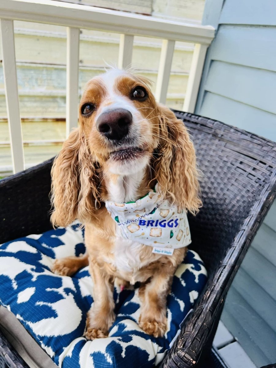 Fleur de Lis and Beignet Treat Dog Bandana - Briggs 'n' Wiggles