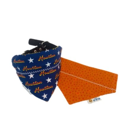 For the H Dog Bandana - Briggs 'n' Wiggles