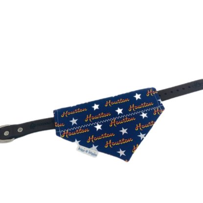 For the H Dog Bandana - Briggs 'n' Wiggles