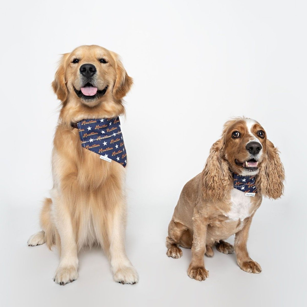 For the H Over the Collar Dog Bandana - Briggs 'n' Wiggles