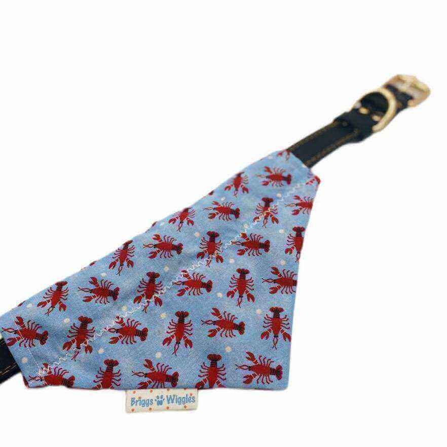 Got Crawfish Dog Bandana - Briggs 'n' Wiggles