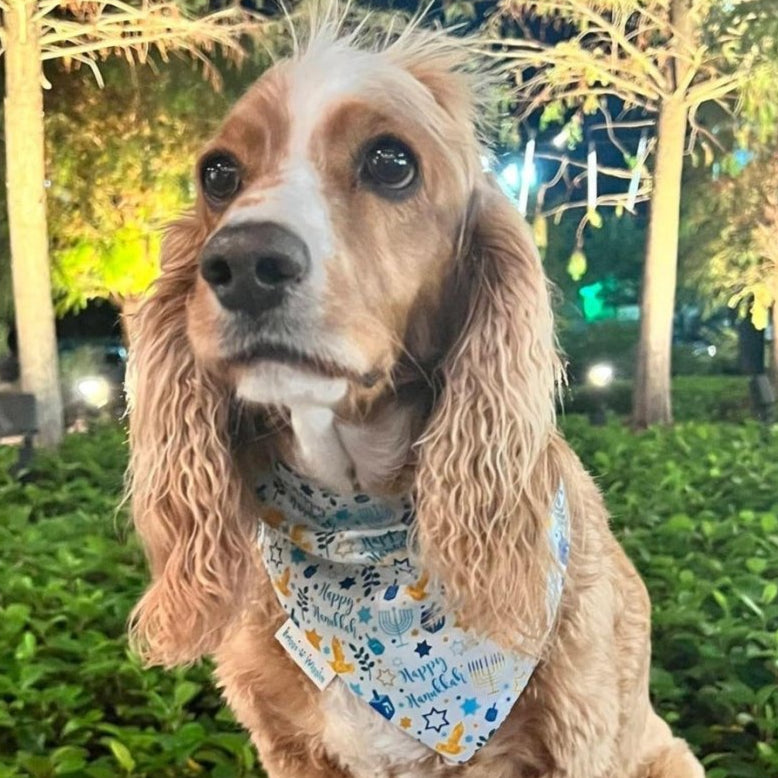 Hanukkah Reversible Dog Bandana - Briggs 'n' Wiggles