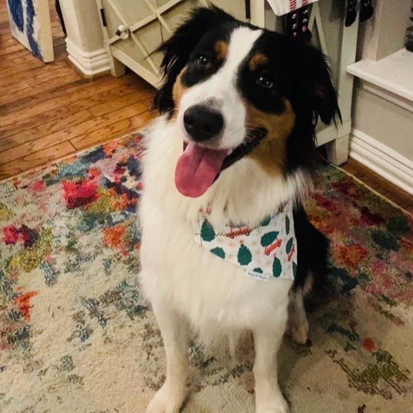 Holiday Christmas Tree and Plaid Dog Bandana - Briggs 'n' Wiggles