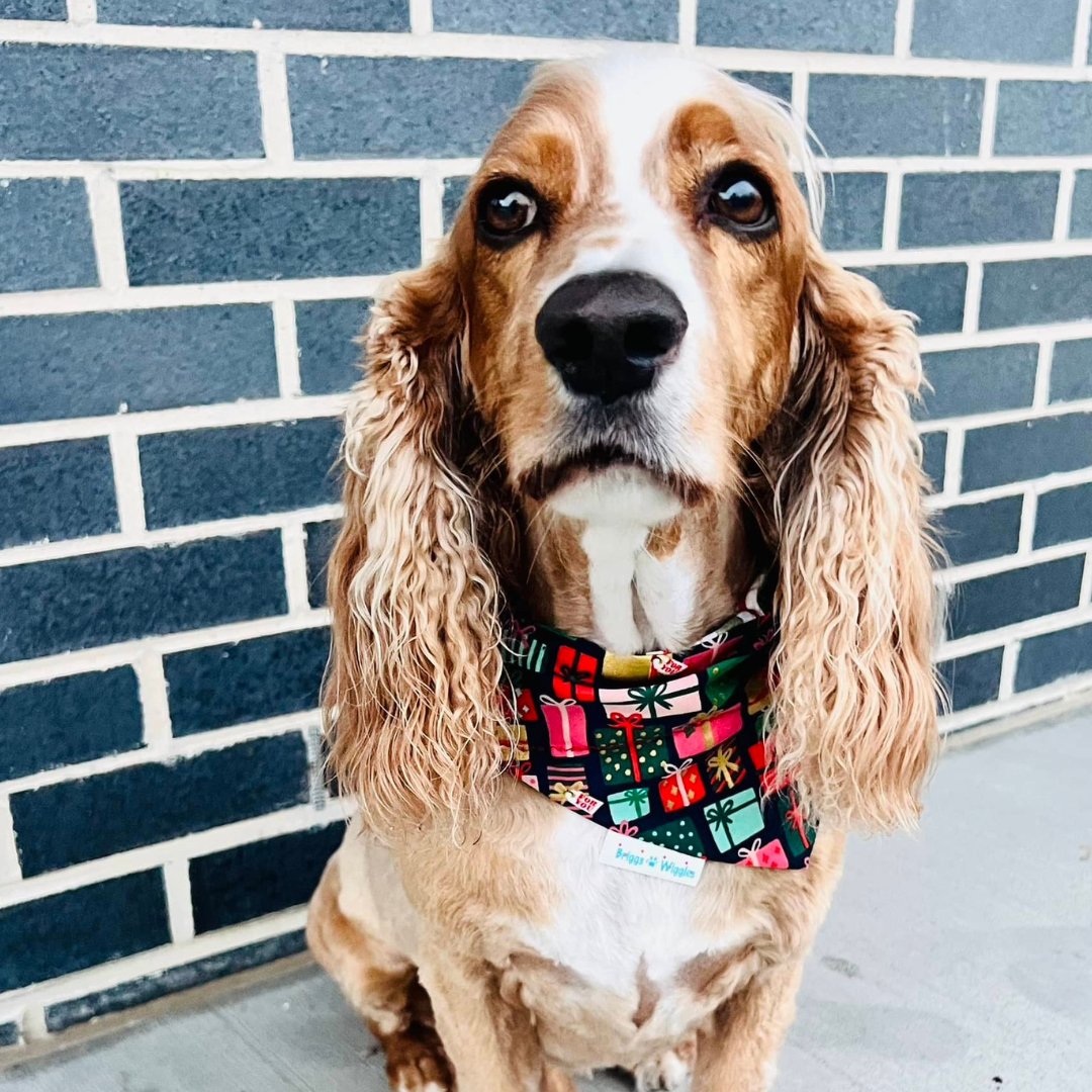 Holiday Gifts Metallic | Dog Bandana - Briggs 'n' Wiggles