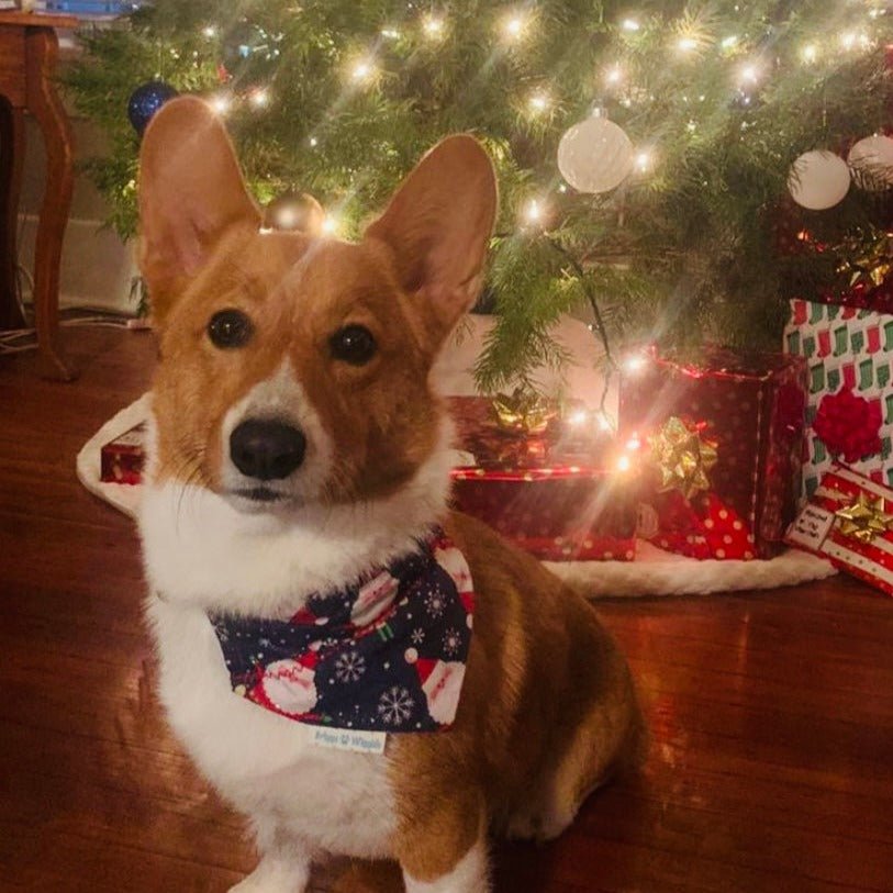 Holiday Mystery Box - Briggs 'n' Wiggles