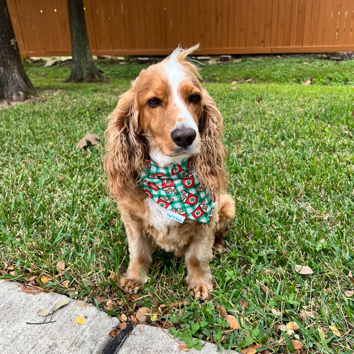 Holiday Puppuccino Dog Bandana - Briggs 'n' Wiggles