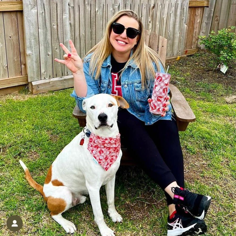 Houston Cougar Basketball Plaid Dog Bandana - Briggs 'n' Wiggles