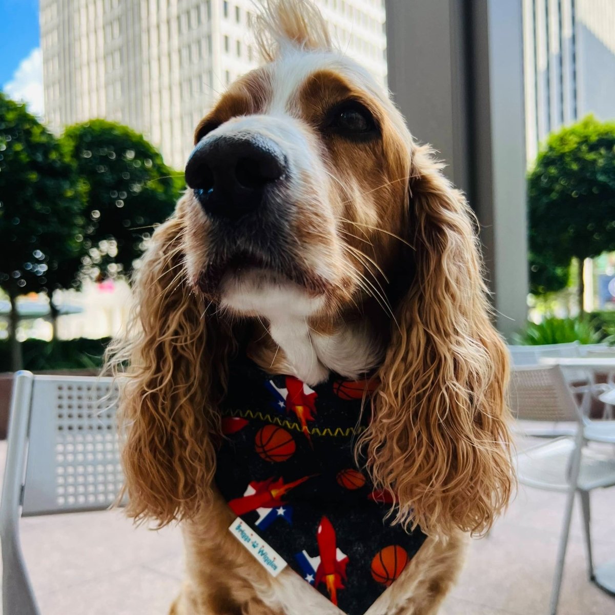 Dog wearing a reversible Houston Rockets-inspired bandana featuring bold red, black and white Rocket Design with floating basketballs, perfect for showing team spirit on game day.