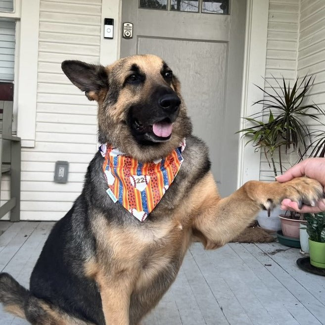 Houston's Golden Era Baseball Dog Bandana - Briggs 'n' Wiggles