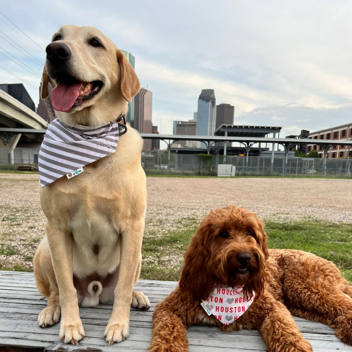 I LOVE Houston Dog Bandana - Briggs 'n' Wiggles