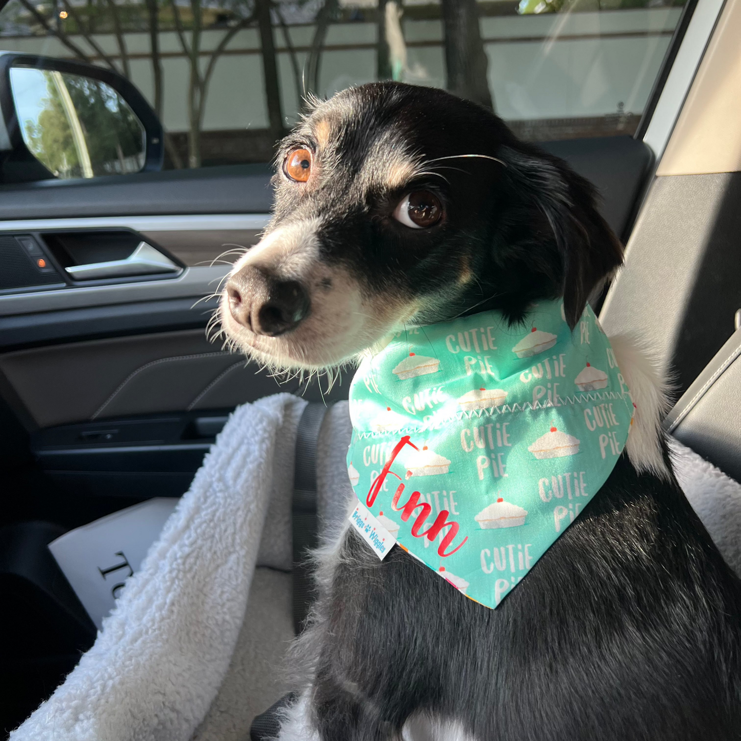 CUTIE PIE Dog Bandana