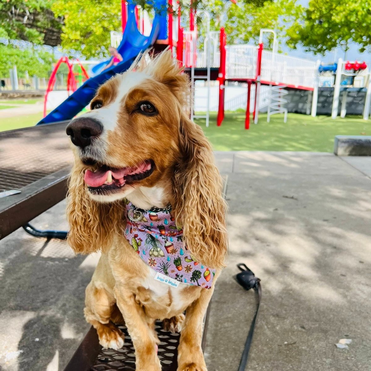 Love Plants Dog Bandana - Briggs 'n' Wiggles