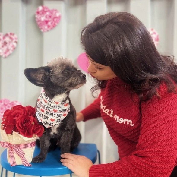 MAMA'S BOY Dog Bandana - Briggs 'n' Wiggles