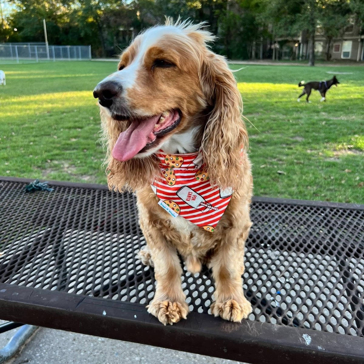 Milk and Cookies for Santa Dog Bandana - Briggs 'n' Wiggles
