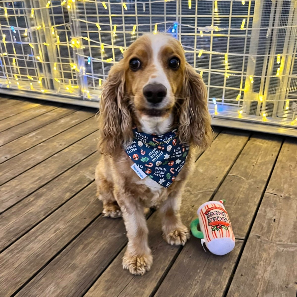 Official Christmas Cookie Taster Dog Bandana - Briggs 'n' Wiggles