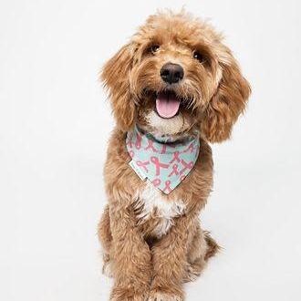 Heather, Pink Ribbon Breast Cancer Awareness Dog Bandana - Briggs 'n' Wiggles