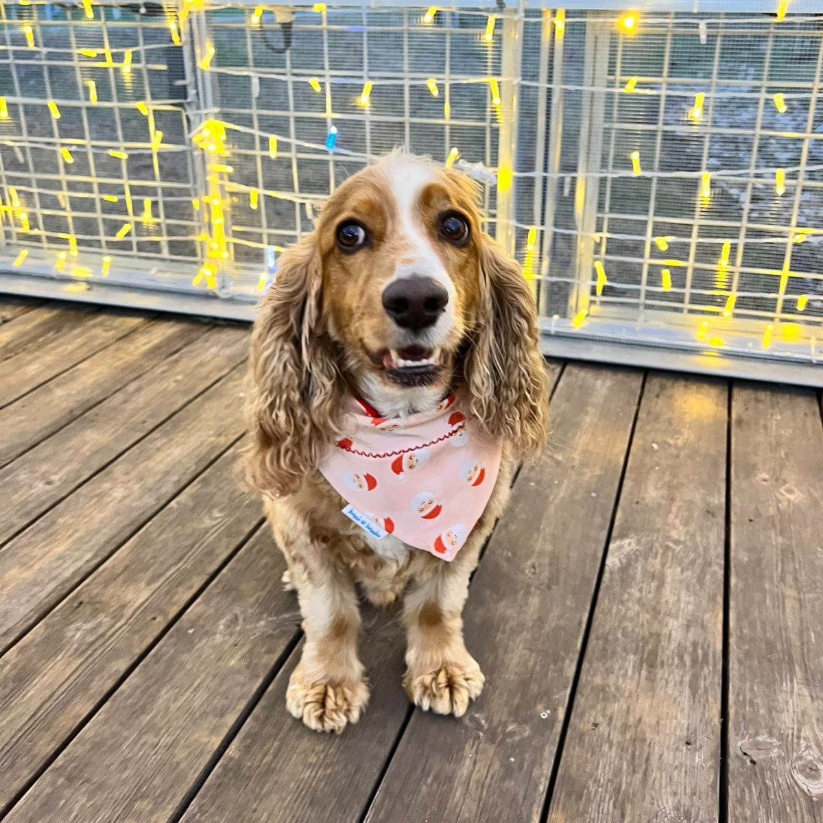 Pink Santa Claus Dog Bandana - Briggs 'n' Wiggles